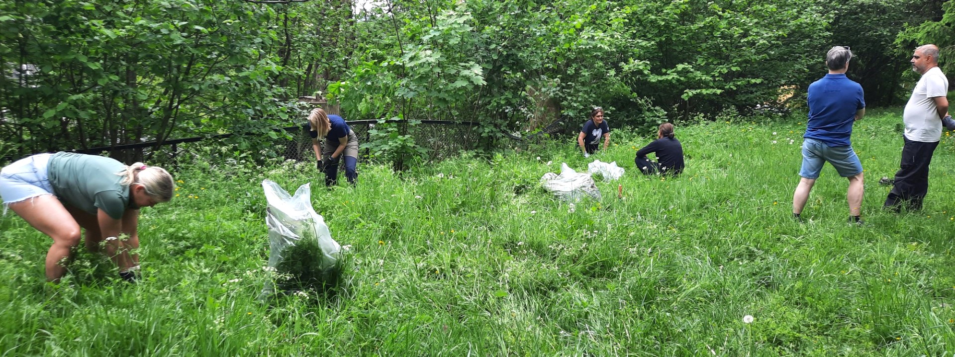 Naboer jobber sammen i Smestadparken